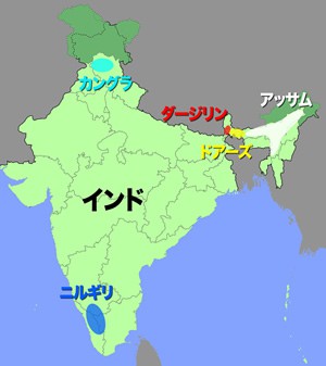インドの主な紅茶産地